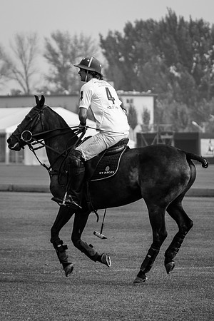 Royal Salute Gold Cup 2012 China Polo Tournament Open