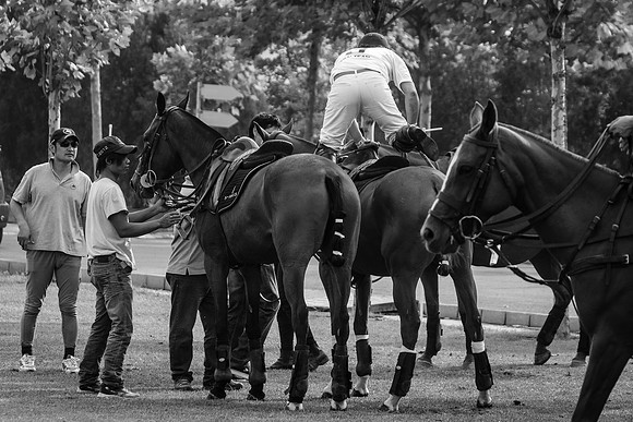 Royal Salute Gold Cup 2012 China Polo Tournament Open