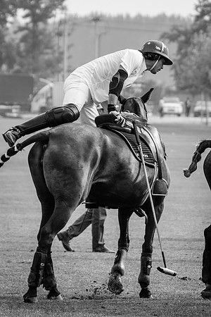 Royal Salute Gold Cup 2012 China Polo Tournament Open