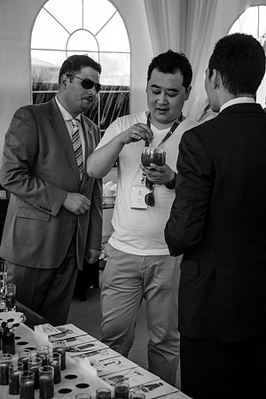 Royal Salute Gold Cup 2012 China Polo Open Tournament