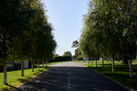 22-10-11-Domini-James-2022-10-11-Dominic-James-0004
