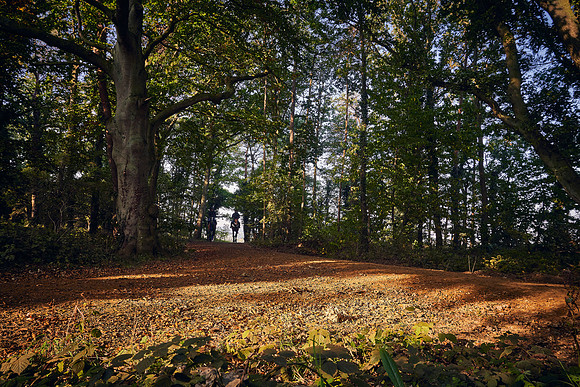 22nd-Sept-Dominic-James-03012