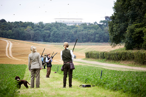 Goodwood Estate partridge shoot