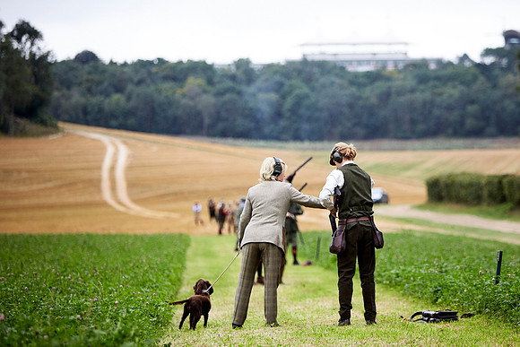 Goodwood Estate partridge shoot