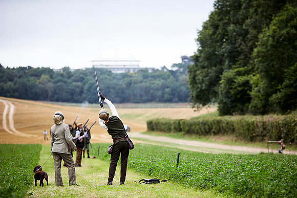 Goodwood Estate partridge shoot