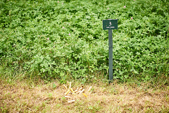 Goodwood Estate partridge shoot