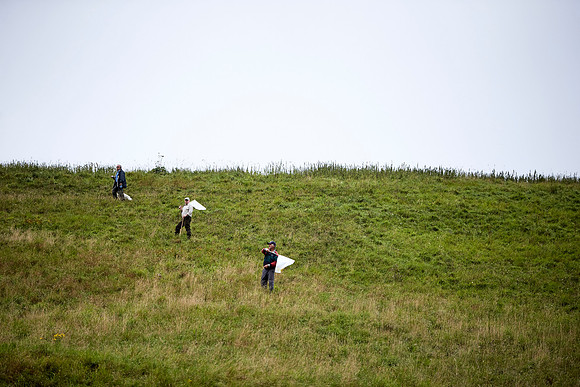 Goodwood Estate partridge shoot