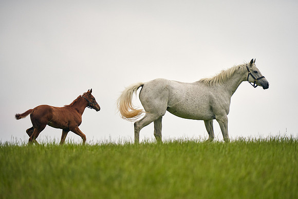 2021-06-19-DominicJames_1433