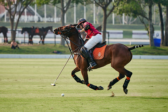 THAI-POLO-OPEN-2020-01-17-Dominic-James_DJ96992.ARW1342