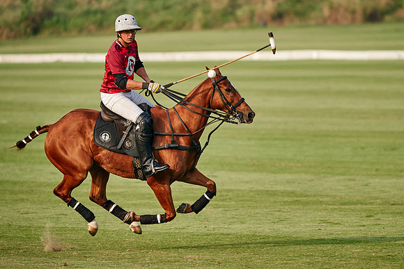 THAI-POLO-OPEN-2020-01-17-Dominic-James_DJ97092.ARW1442