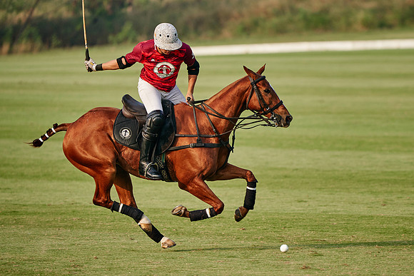 THAI-POLO-OPEN-2020-01-17-Dominic-James_DJ97088.ARW1438