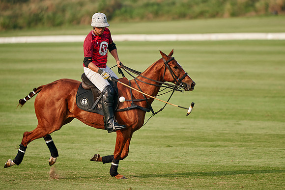 THAI-POLO-OPEN-2020-01-17-Dominic-James_DJ97091.ARW1441