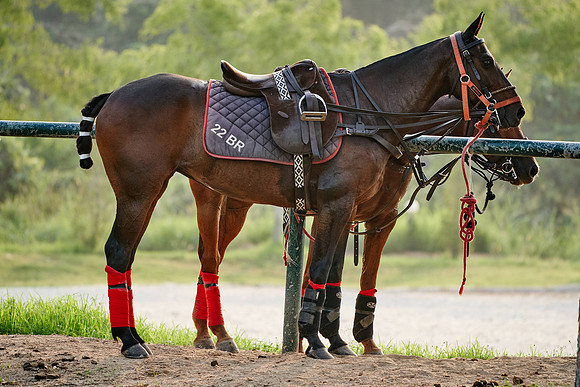 THAI-POLO-OPEN-2020-01-17-Dominic-James_DJ97252.ARW1602