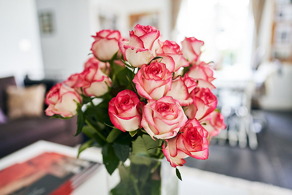 Princess Sirinnavari_Dominc_James_00115