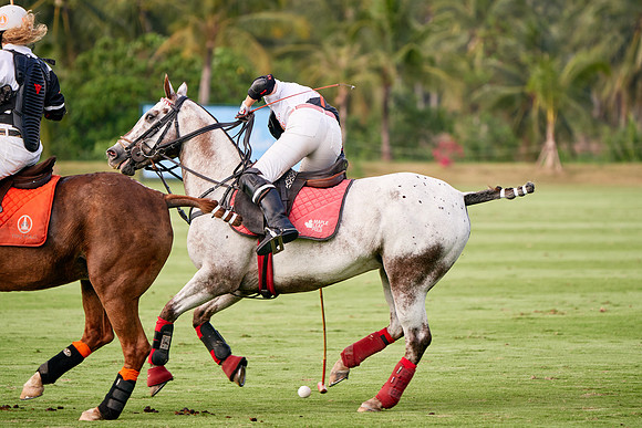 WORLD-POLO-PATRON-2019_DJ_9610