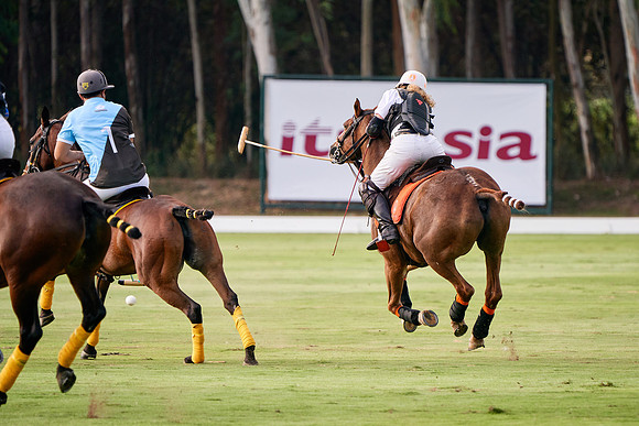WORLD-POLO-PATRON-2019_DJ_9617