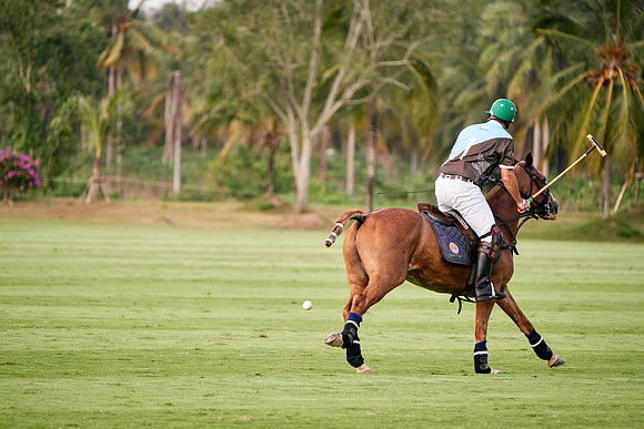 WORLD-POLO-PATRON-2019_DJ_9586
