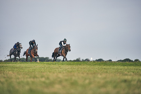 22nd-JULY-Dominic-James-1263