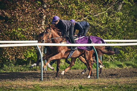 NEWMARKET-GALLOPS-24nd-APRIL-DJ-0756