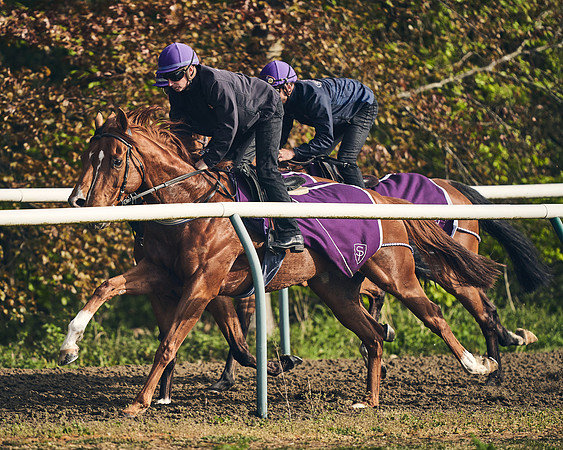 NEWMARKET-GALLOPS-24nd-APRIL-DJ-0757