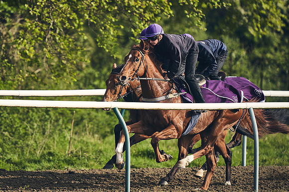 NEWMARKET-GALLOPS-24nd-APRIL-DJ-0750