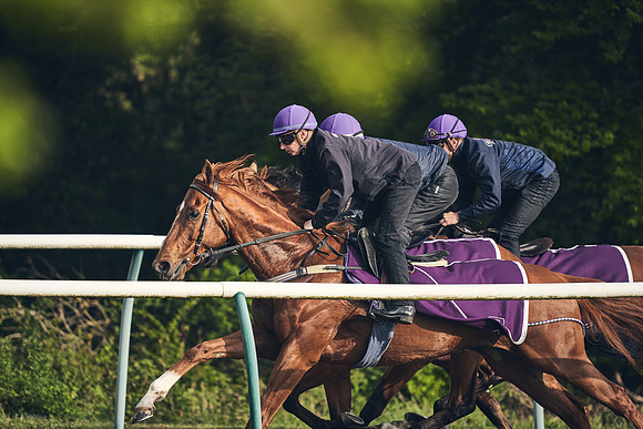 NEWMARKET-GALLOPS-24nd-APRIL-DJ-0773