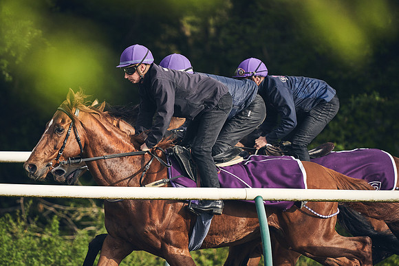 NEWMARKET-GALLOPS-24nd-APRIL-DJ-0774