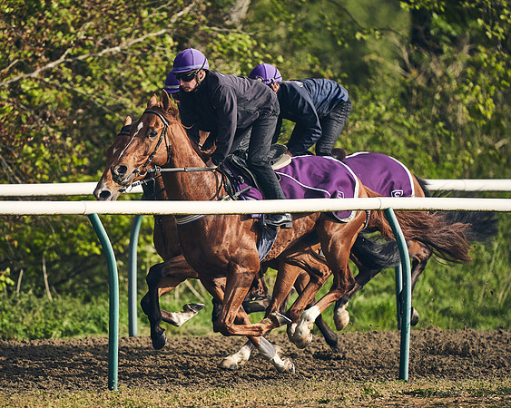 NEWMARKET-GALLOPS-24nd-APRIL-DJ-0754