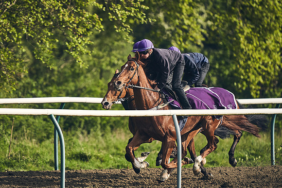 NEWMARKET-GALLOPS-24nd-APRIL-DJ-0749