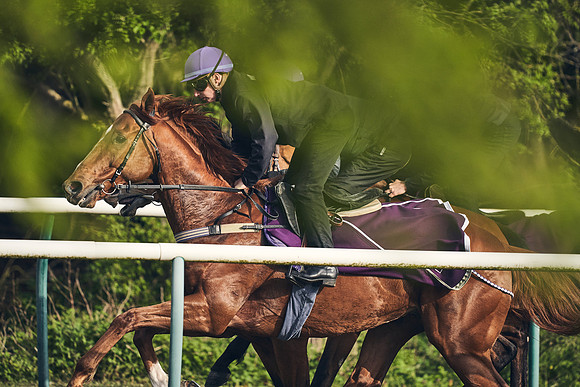 NEWMARKET-GALLOPS-24nd-APRIL-DJ-0777