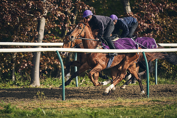 NEWMARKET-GALLOPS-24nd-APRIL-DJ-0760