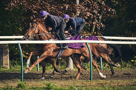 NEWMARKET-GALLOPS-24nd-APRIL-DJ-0762