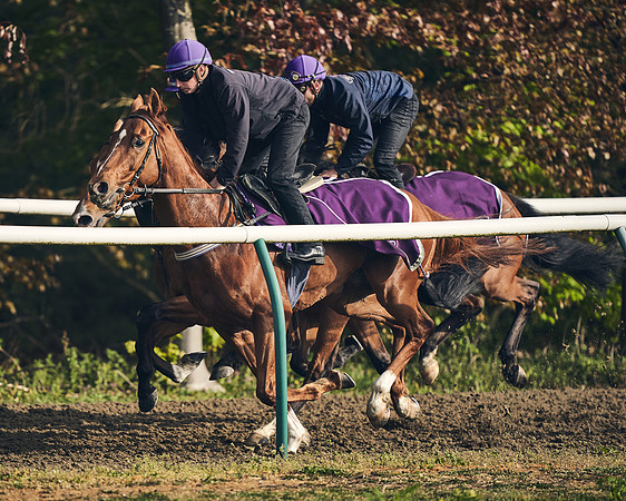 NEWMARKET-GALLOPS-24nd-APRIL-DJ-0759