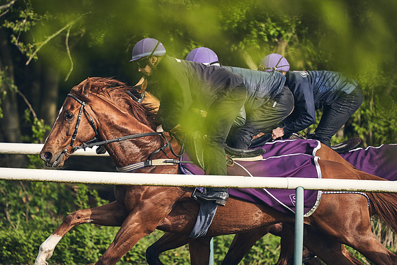 NEWMARKET-GALLOPS-24nd-APRIL-DJ-0778