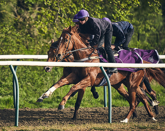 NEWMARKET-GALLOPS-24nd-APRIL-DJ-0751