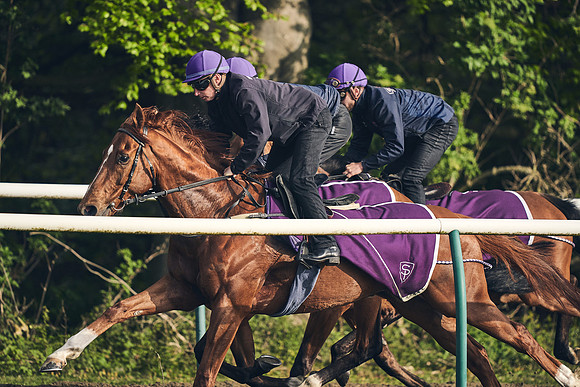 NEWMARKET-GALLOPS-24nd-APRIL-DJ-0768
