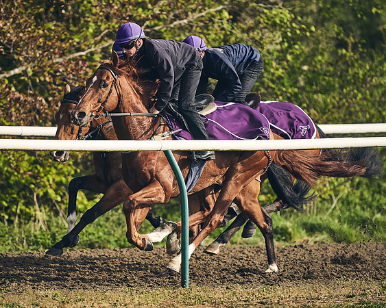 NEWMARKET-GALLOPS-24nd-APRIL-DJ-0755