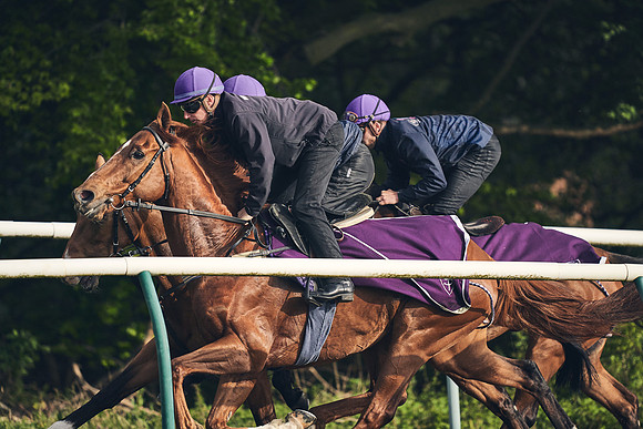 NEWMARKET-GALLOPS-24nd-APRIL-DJ-0771