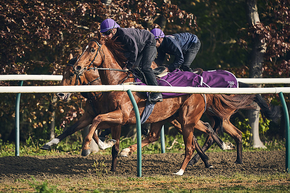 NEWMARKET-GALLOPS-24nd-APRIL-DJ-0761