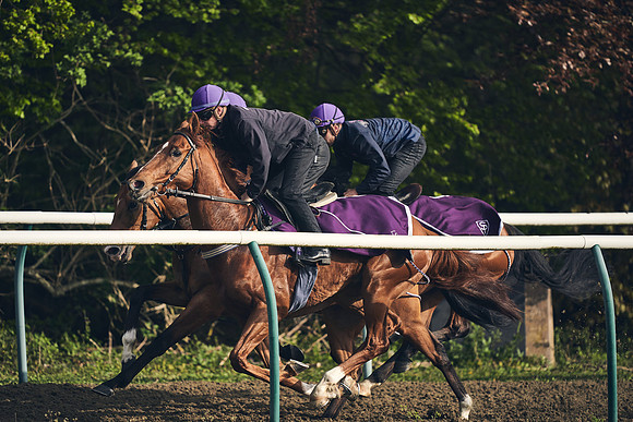 NEWMARKET-GALLOPS-24nd-APRIL-DJ-0765