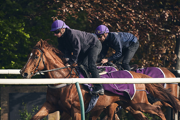 NEWMARKET-GALLOPS-24nd-APRIL-DJ-0763