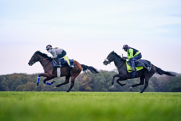 26th-Sept-Dominic-James-02322