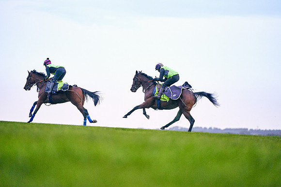 26th-Sept-Dominic-James-02489