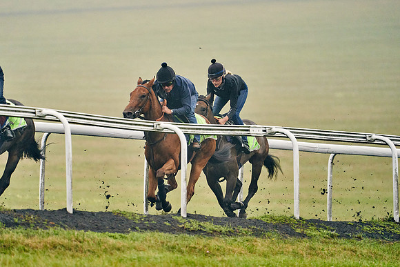 14th-August-Dominic-James-06834
