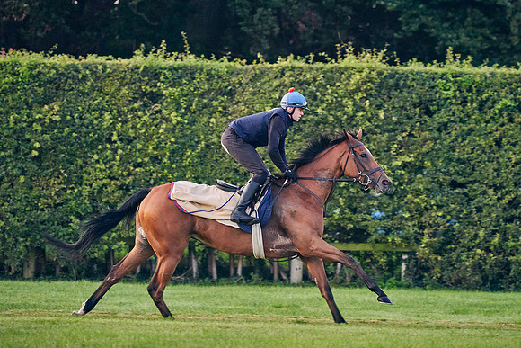 2020-09-02-DominicJames-1031