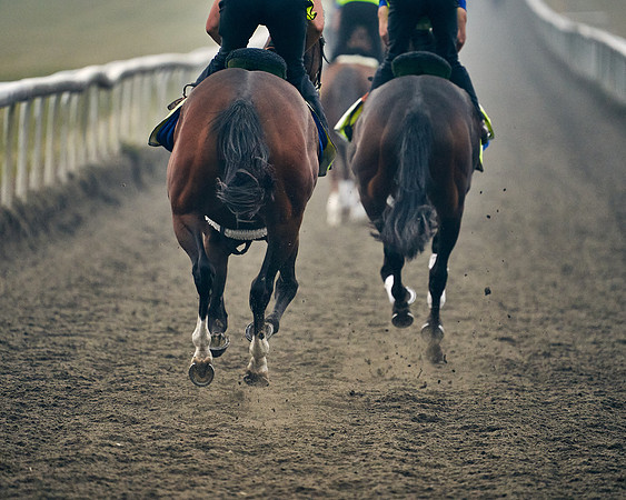 11th-August-Dominic-James-2894-strad