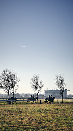 Southfield-Farm0Gallops-DJ-_DJ96492.ARW-0434