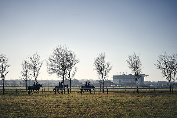 Southfield-Farm0Gallops-DJ-_DJ96486.ARW-0428