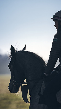 Southfield-Farm0Gallops-DJ-_DJ97288.ARW-1230