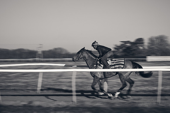 Southfield-Farm0Gallops-DJ-_DJ96343.ARW-0285